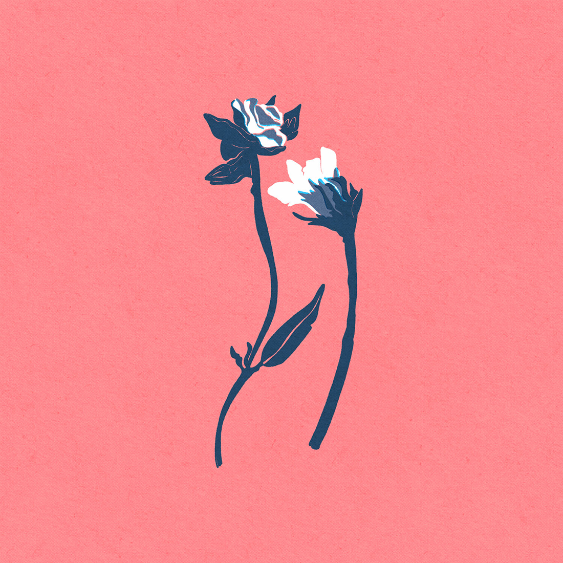 Herbarium, Iskra Tsoneva, Flickers and Lines Illustration
